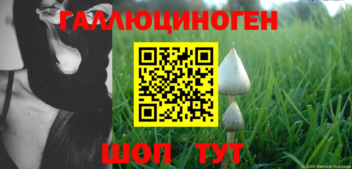 Псилоцибиновые грибы прущие грибы  Вход с VPN  Углич 